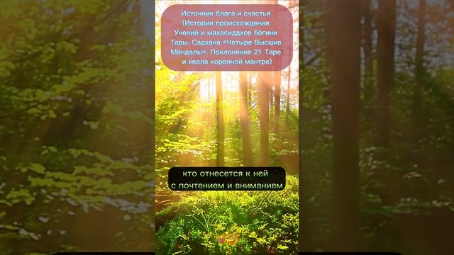 Источник блага и счастья (Истории происхождения Учений и махасиддхов богини Тары. смотреть онлайн