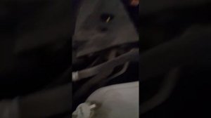 Mitsubishi Lancer 10 стук из двигателя