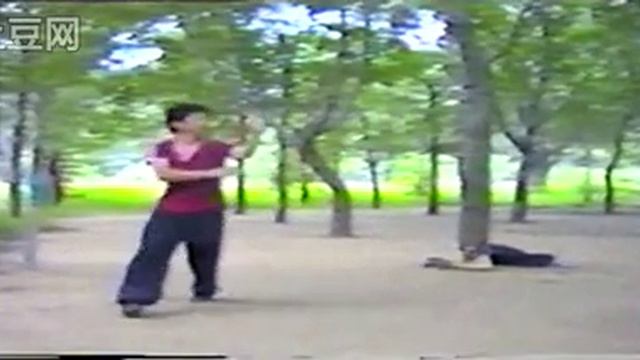 Инь-ши багуачжан  尹氏八卦掌   孙书学