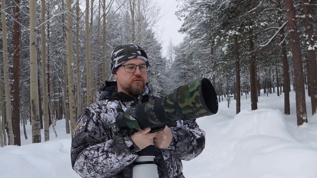 Canon RF 100-500 vs Sigma 150-600 Sport, Canon R5 смотреть онлайн