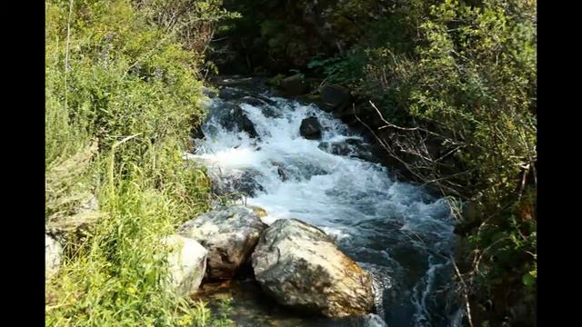 Поездка в Горный смотреть онлайн