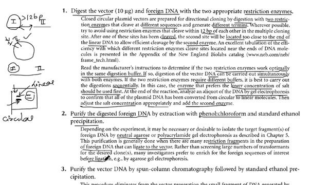 The plasmid directional cloning Guide For Everyone смотреть онлайн