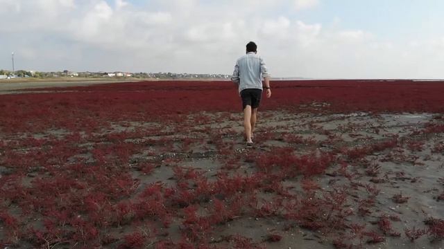 Кровавые лиманы Анапы — Анапа осенью: Витязевский лиман у Черного моря и Витязевская коса #4 смотреть онлайн