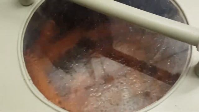 Машина для мойки моркови Спрут 500К смотреть онлайн