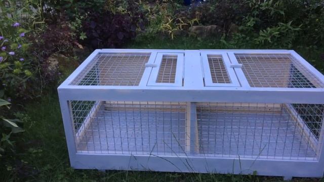 Для одного из лучших голубятника России.