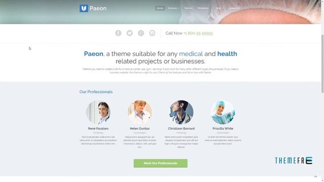 Paeon - Medical WordPress Theme Norbert Brand смотреть онлайн