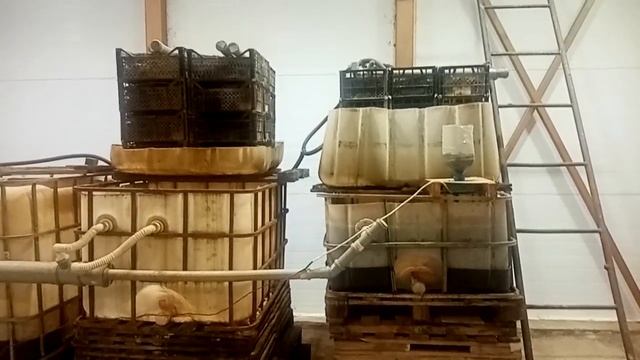 Секреты орошаемого биологического фильтра в УЗВ, раскрываю результаты экспериментов смотреть онлайн