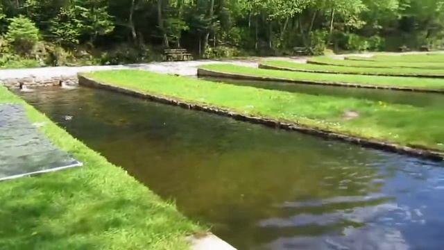 1 Форелевое хозяйство, как стать миллионером, Германия смотреть онлайн