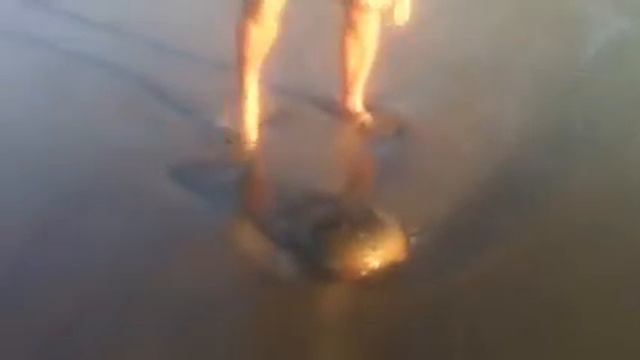 Непонятное океаническое чудище смотреть онлайн