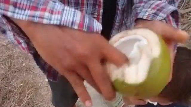 сорт кокоса "аромтаная вода" мапрау наам хом - มะพร้าว น้ำ หอม смотреть онлайн