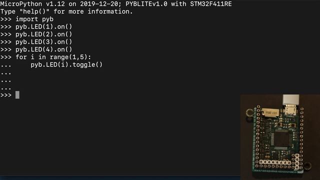 Using the Python REPL With a MicroPython Hardware смотреть онлайн