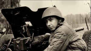 Сергей Тимошенко - Один в поле воин