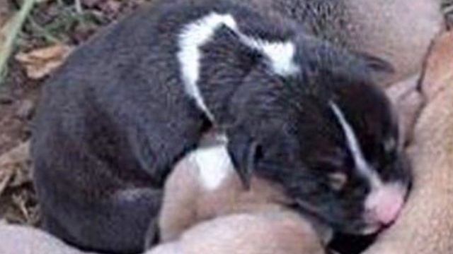 Ей было ради кого сражаться со смертью смотреть онлайн