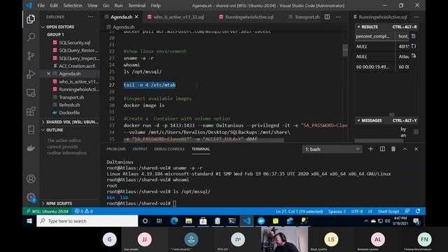 Getting started database development with Windows Subsystem on Linux|SQL Server Container|Docker|WS смотреть онлайн