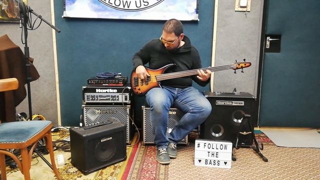 Bass Collection SB311 Fretless/Kustom KBA16/Hartke HD500