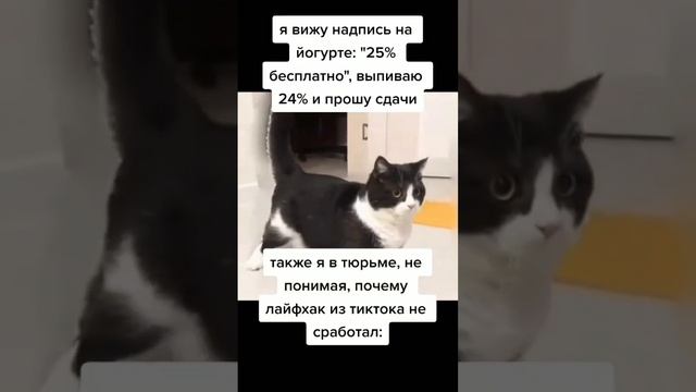 Походу обманули смотреть онлайн