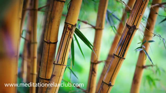 15 MINUTES Relaxation Music with Zen Drums, Shakuhachi Flute & Asian Music 2017 смотреть онлайн