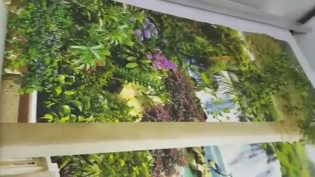 Шу Шымкент Семей Алматы Актобе Атырау Актау Заказ Обой