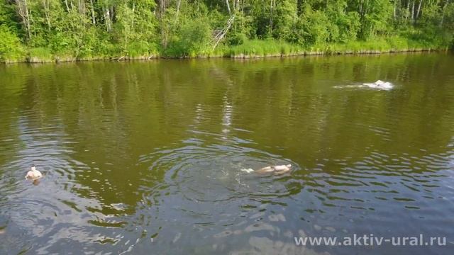 На берегу Чусовой, Нижнее Село смотреть онлайн