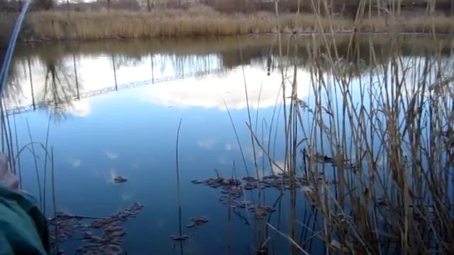 БЕСПЛАТНАЯ РЫБАЛКА! ЛОВИМ В БОЛОТЕ-ПОМОЙКЕ!!! смотреть онлайн