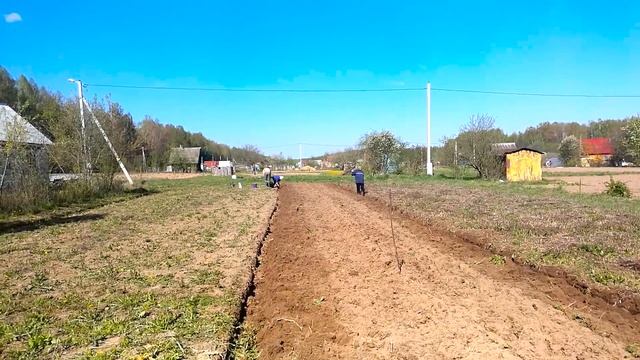 Небольшое видео о том как мы садили картофель под плуг ) смотреть онлайн