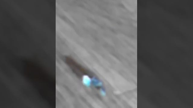 как ест муха смотреть онлайн