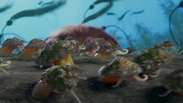 Dariusz Ejdys feat. Sergey Tarkhanov - Wild Wild Water (Cover MODERN TALKING)