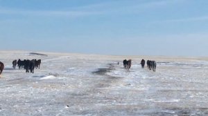 Тебенёвка Русских Тяжеловозов