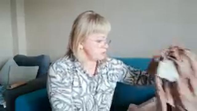 Урааа шопинг, Эконика, Mango, Gerry WEBER смотреть онлайн