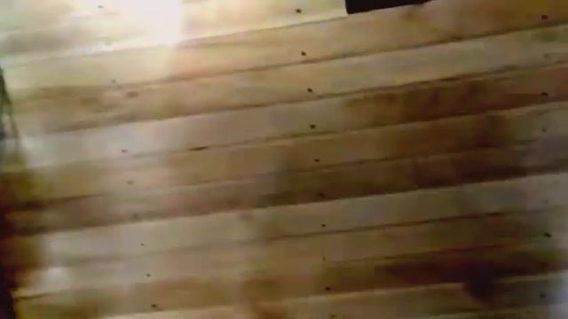 Перестройка летнего дома в баню #5