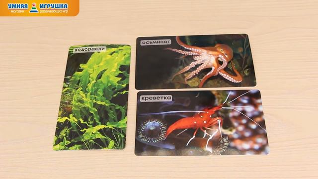 Мир на ладошке «Живой океан» смотреть онлайн