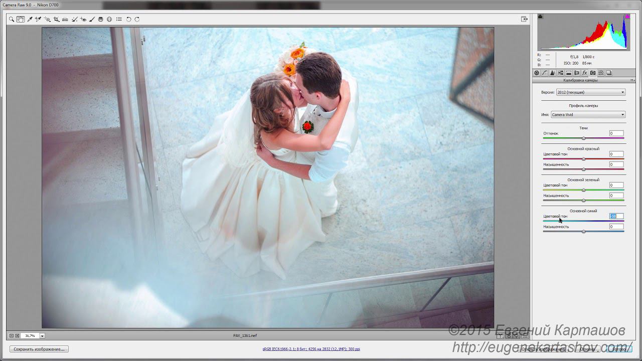 Делаем классную черно белую фотографию в Camera Raw смотреть онлайн