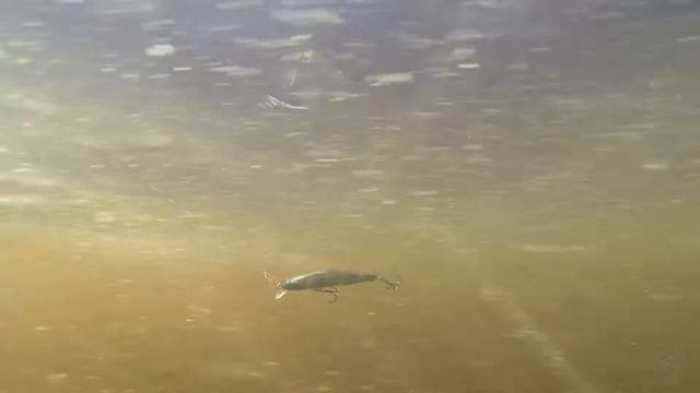 Zip Baits Orbit 80SP смотреть онлайн