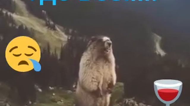Где все!! Бухнуть хочу!! смотреть онлайн