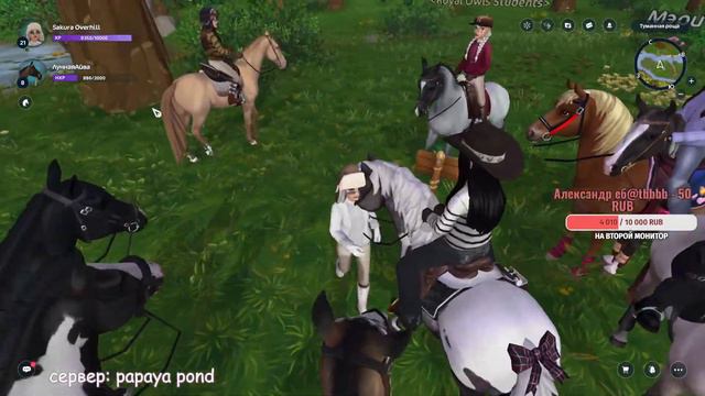 СТРИМ || ПОКУПАЕМ РАНДОМНУЮ ЛОШАДЬ || Star Stable смотреть онлайн