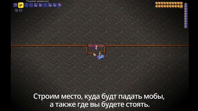 Афк Ферма Жезла Раздора в Террарии! / Террария Гайды! / #terraria смотреть онлайн