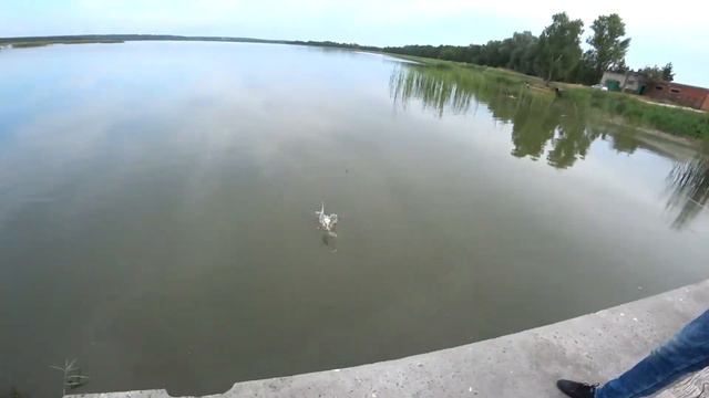 РЫБАЛКА смотреть онлайн