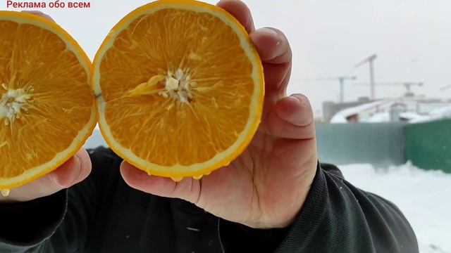 Как выглядит Апельсин в разрезе? смотреть онлайн