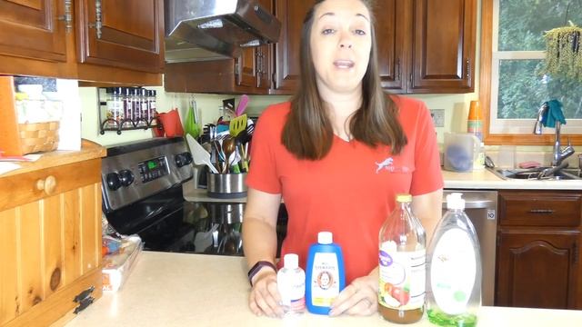 DIY Whitening Dog Shampoo Recipe смотреть онлайн