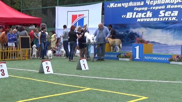 Open + Champion class (males) & Junior class (females). смотреть онлайн