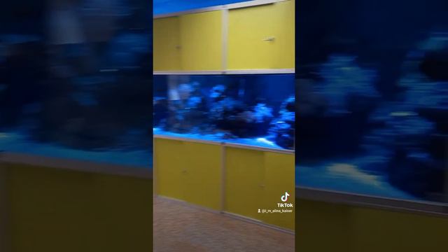Как выглядит больница для лечения онкологии в Польше #нашивпольше #рак #лимфомаходжкина #беженцы смотреть онлайн