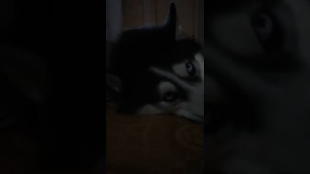 Что я буду делать воскресенье смотреть онлайн