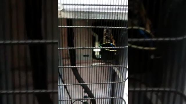 Почему кулер протекает из под низа.