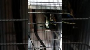 Почему кулер протекает из под низа.