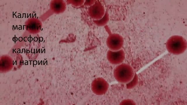 5 признаков, что ваши почки работают неправильно смотреть онлайн