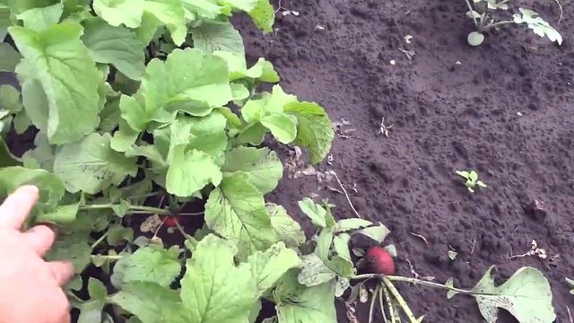 Ремонтные Мастерские