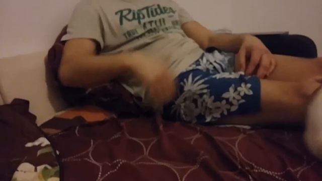 Котенок дерется с рукой😂 смотреть онлайн