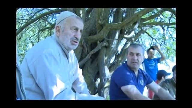 Гамсутль смотреть онлайн