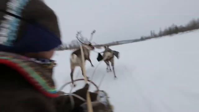 Поздравление с 23 февраля депутата Законодательного Собрания Красноярского края Валерия Фарукшина смотреть онлайн