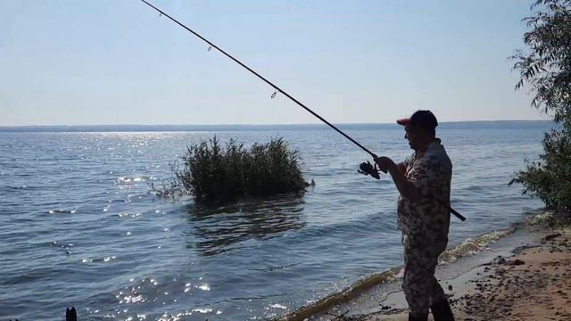 СУРСКОЕ СНОВА РАДУЕТ НАС смотреть онлайн